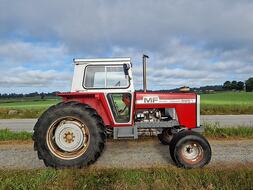 Massey Ferguson 595 bilde
