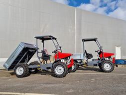 Andre MESSEPRIS P&Aring; AGRISJ&Aring; Erreppi Buffalo Extra Agricultural Tractor bilde